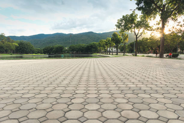 Best Commercial Driveway Pavers  in Lowell, AR